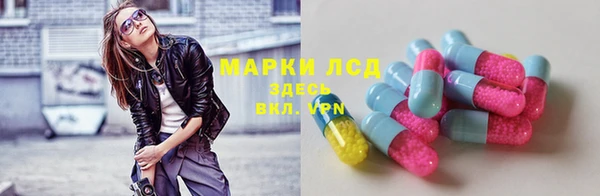 стафф Алексин
