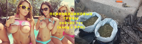 гидропоника Новокубанск